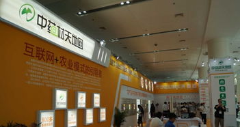 匠心筑展，茶韻飄香 福州展覽搭建工廠的一站式專業(yè)服務(wù)