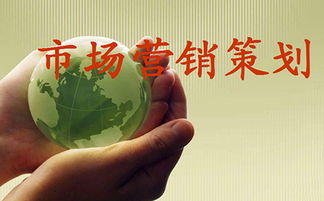 市場(chǎng)營(yíng)銷(xiāo)策劃 成功品牌的戰(zhàn)略藍(lán)圖